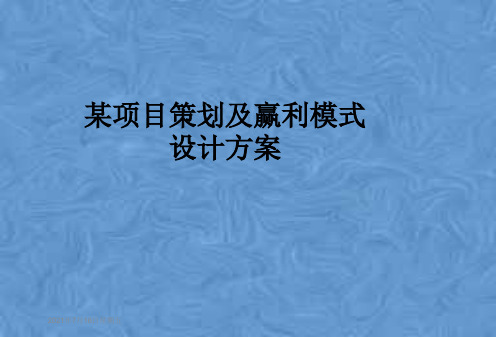 某项目策划及赢利模式设计方案