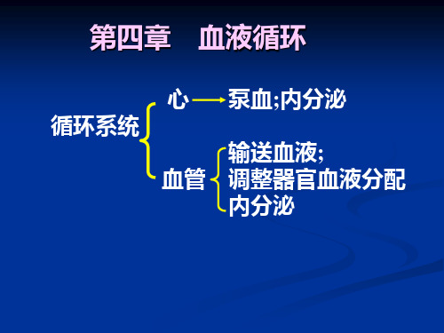 心脏泵血