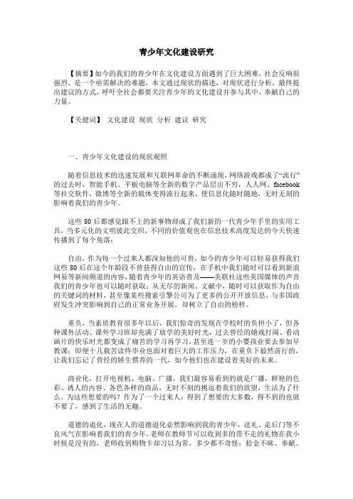 青少年文化建设研究