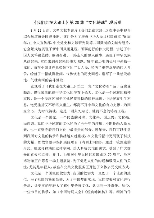 《我们走在大路上》第20集“文化铸魂”观后感