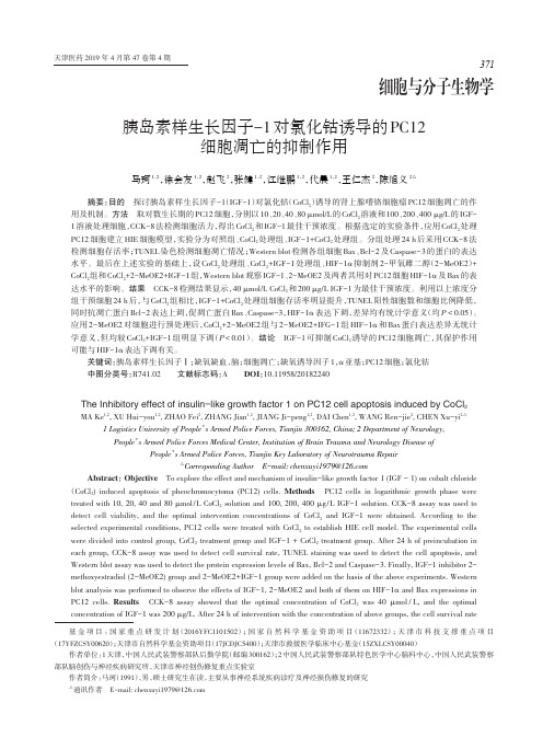 胰岛素样生长因子1对氯化钴诱导的PC12细胞凋亡的抑制作用
