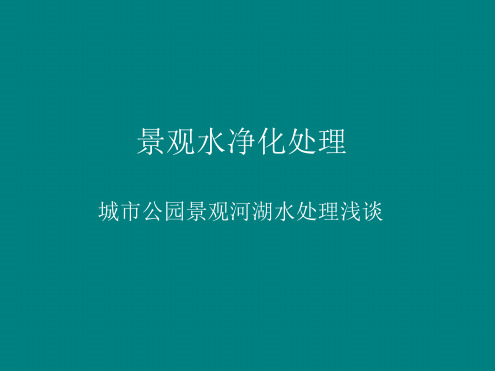 城景观河湖水处理设计方案