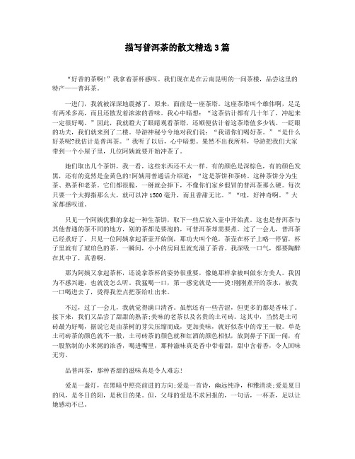 描写普洱茶的散文精选3篇
