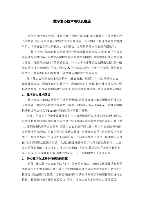 数字岩心技术现状及展望