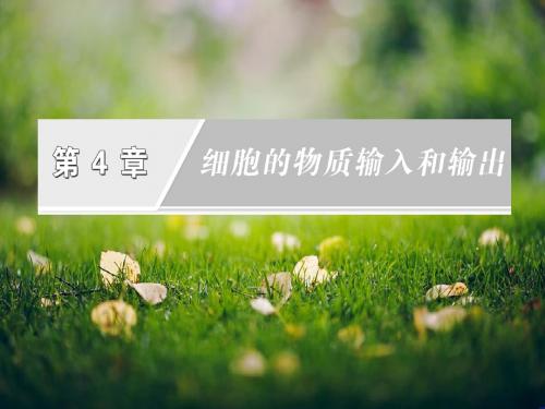 高考生物一轮复习课件：必修1 4.1物质跨膜运输的实例(人教新课标)