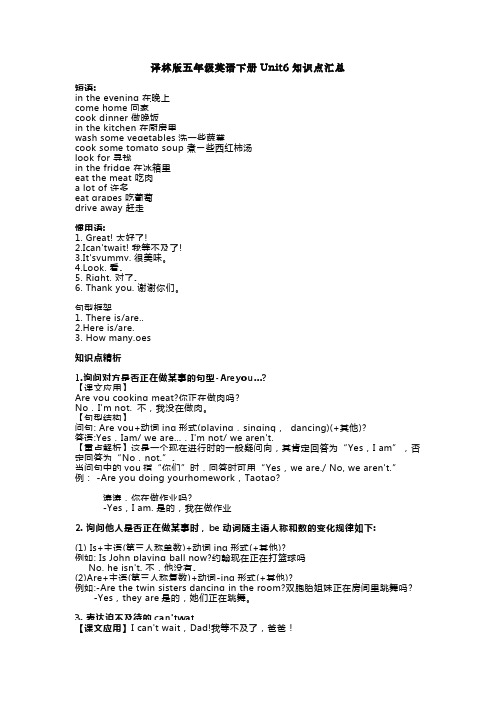译林版五年级英语下册Unit6知识点汇总