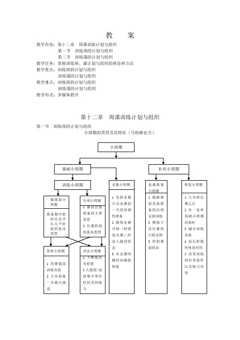 训练计划