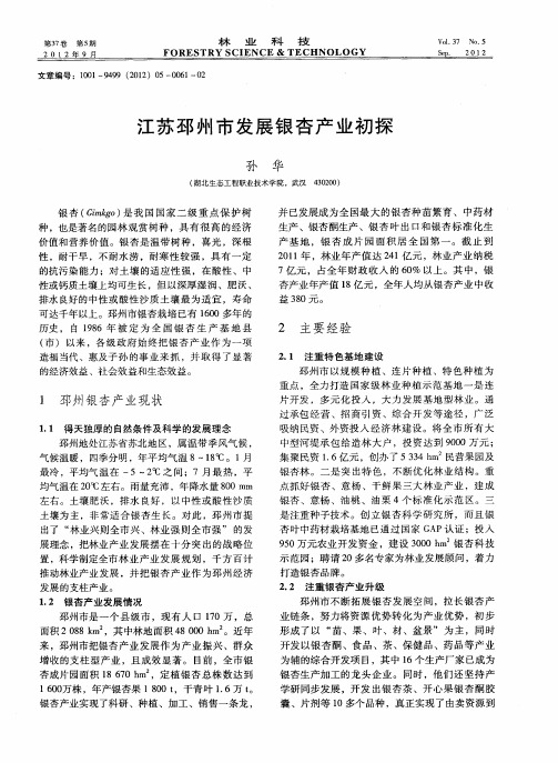江苏邳州市发展银杏产业初探
