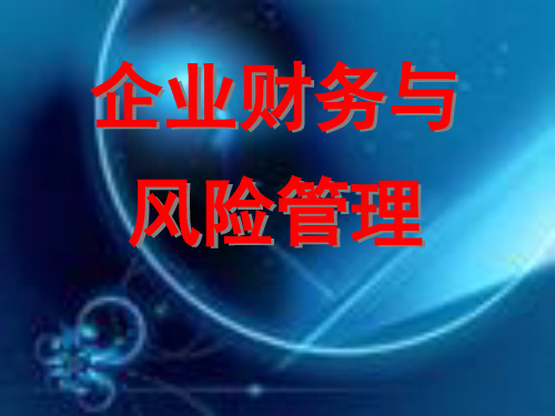 企业财务与风险管理精品PPT课件