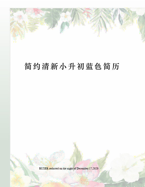 简约清新小升初蓝色简历