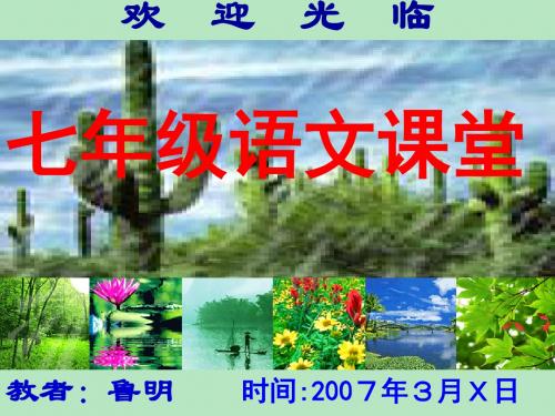 春风PPT3 北师大版 (共12张PPT)