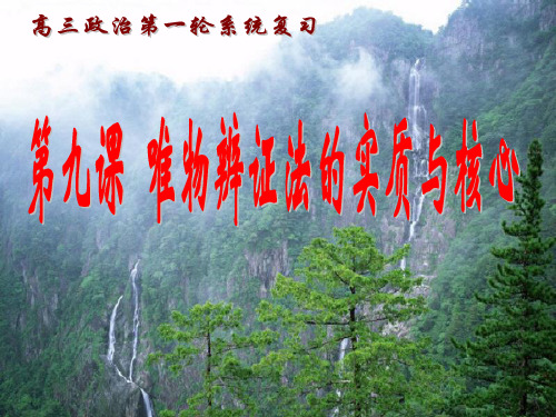 唯物辩证法的实质与核心(复习)