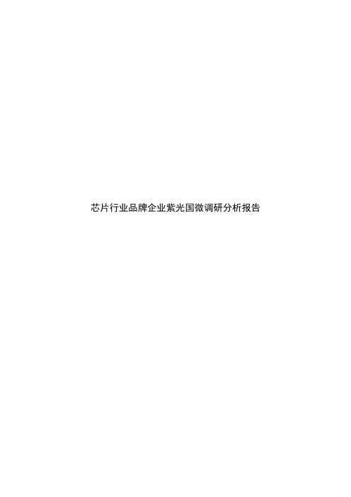 芯片行业品牌企业紫光国微调研分析报告