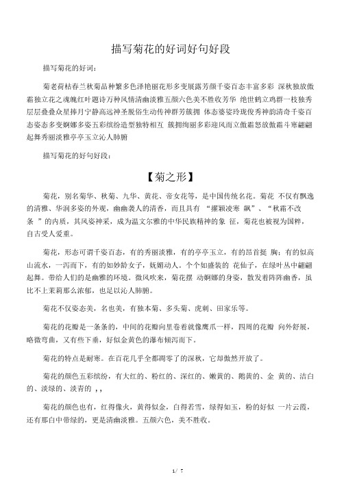 描写菊花的好词好句好段