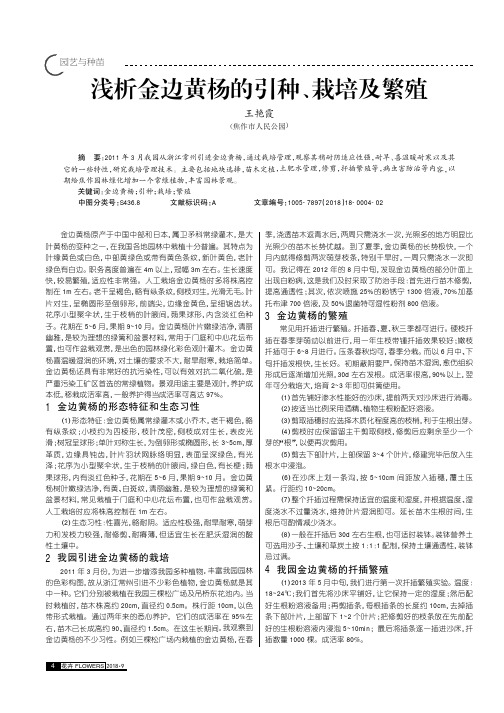 浅析金边黄杨的引种、栽培及繁殖