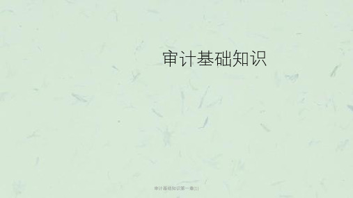 审计基础知识第一章(1)课件