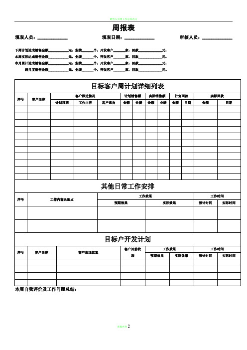 销售人员周报表