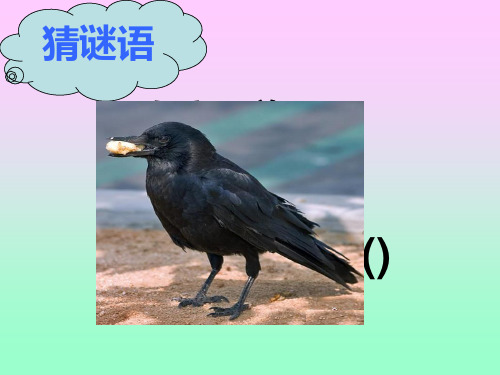 人教版一年级语文下册19乌鸦喝水精品PPT课件