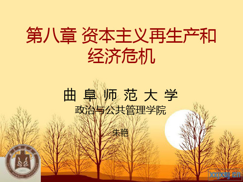 政治经济学 资本主义再生产和经济危机
