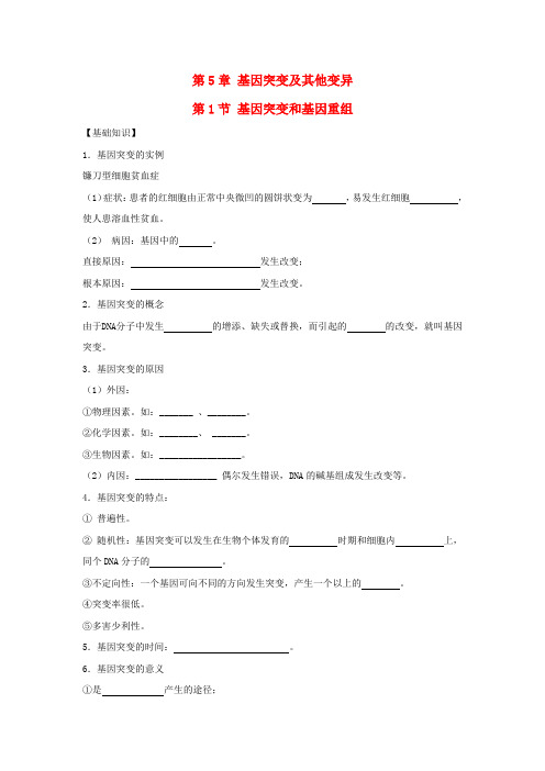高中生物第五章基因突变及其他变异5.1基因突变和基因重组导学案新人教版