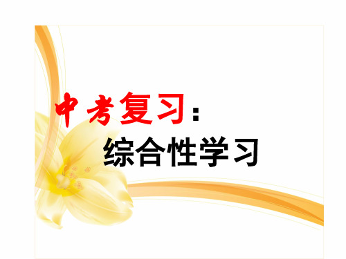 2020届  中考语文 《 综合性学习》课件 (共27张PPT) (1)