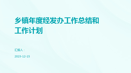 乡镇年度经发办工作总结和工作计划