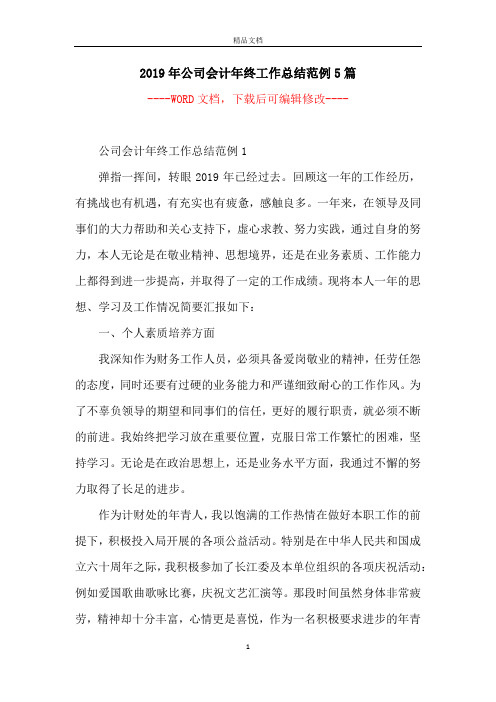 2019年公司会计年终工作总结范例5篇