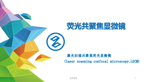 荧光共聚焦 激光扫描共聚焦[知识研究]