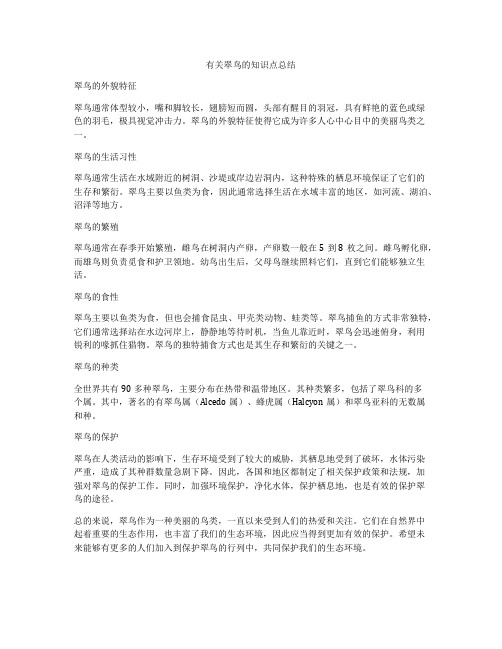 有关翠鸟的知识点总结