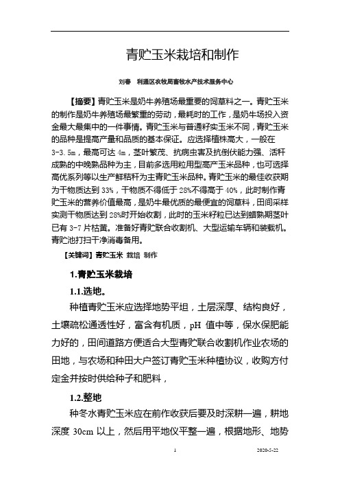 青贮玉米高产栽培实施方案