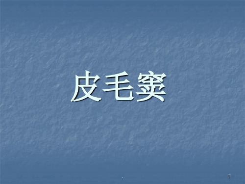 皮毛窦PPT课件