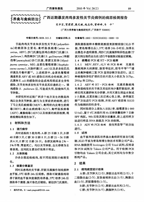 广西近期暴发肉鸡多发性关节炎病例的病原检测报告