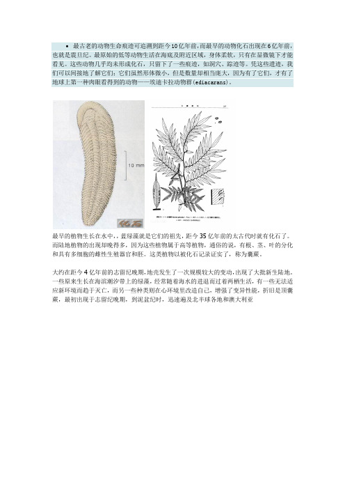 最古老的动物生命痕迹可追溯到距今10亿年前
