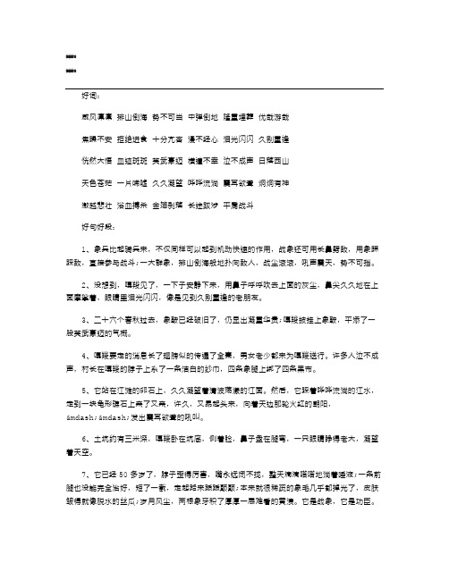 最后一头战象好词好句