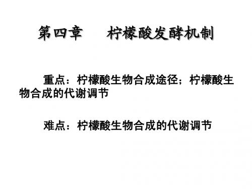 四   柠檬酸发酵机制