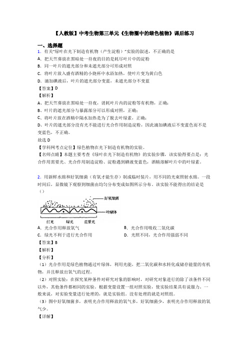 【人教版】中考生物第三单元《生物圈中的绿色植物》课后练习