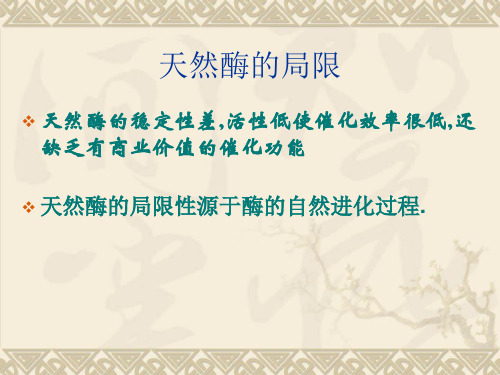 酶定向进化