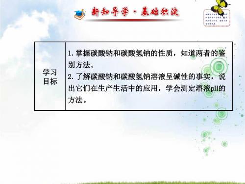 苏教版高中化学必修一2.2.2碳酸钠的性质与应用 课件
