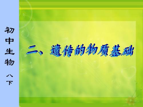 遗传的物质基础 染色体、DNA和基因.ppt