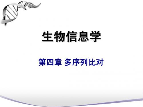 04多序列比对