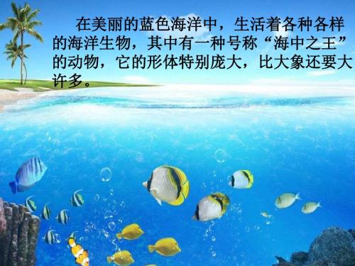 语文S版语文四年级下册《鲸》公开课课件