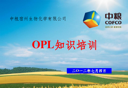 OPL培训知识PPT课件