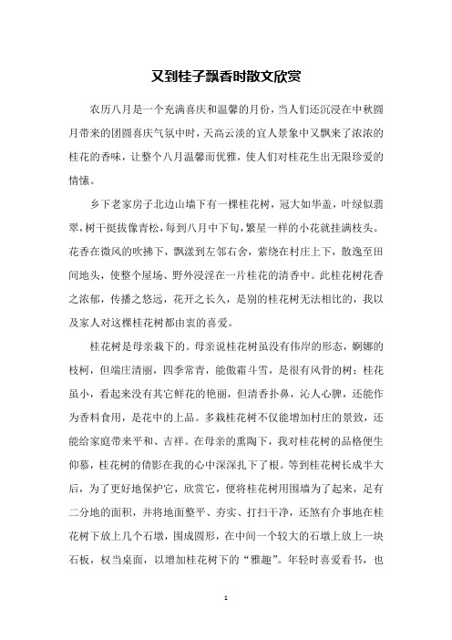 又到桂子飘香时散文欣赏