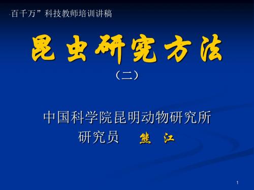昆虫研究方法