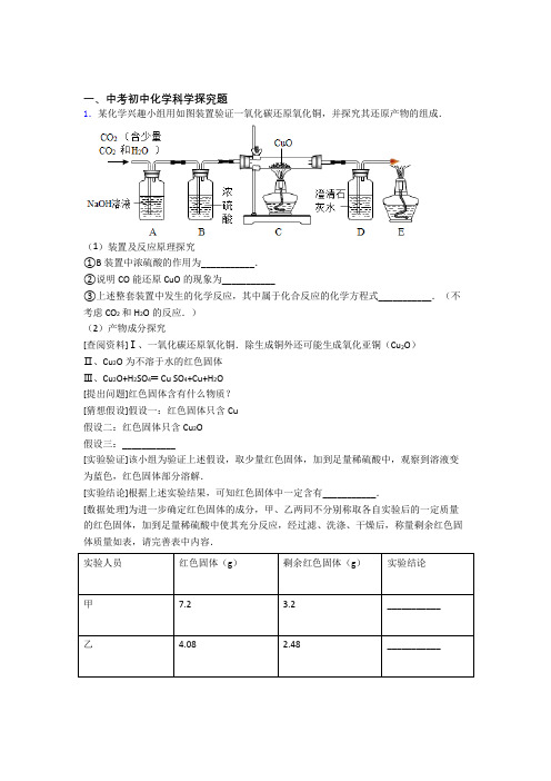 2020-2021中考化学一模试题分类汇编——探究题综合附答案