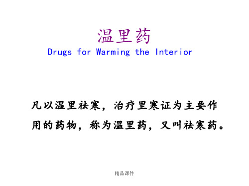 温里药(中药学)