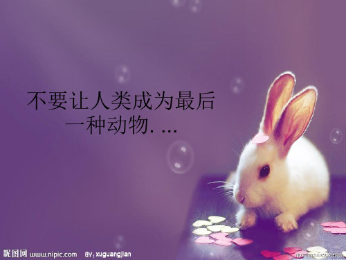 第六课 兔 词语