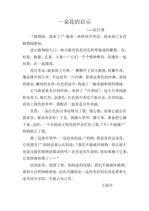一朵花的启示--王晨宇