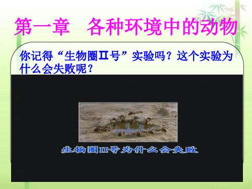 八年级生物上第一章-各种环境中的动物第一节-水中生活的动物课件人教版