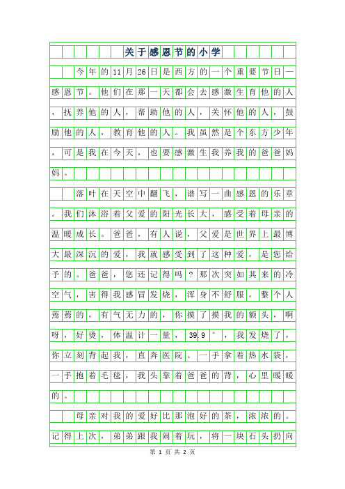 2019年关于感恩节的小学作文400字